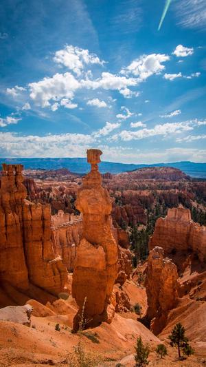 上海网站建设youhua168截图2