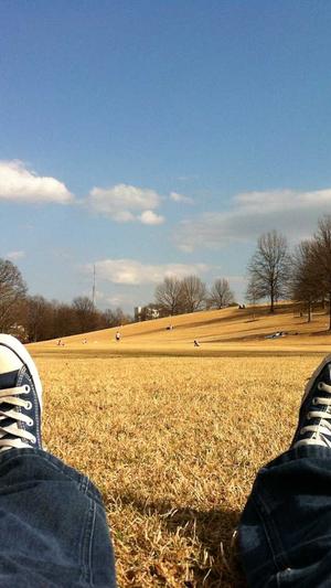 最有效果的蜘蛛池截图2