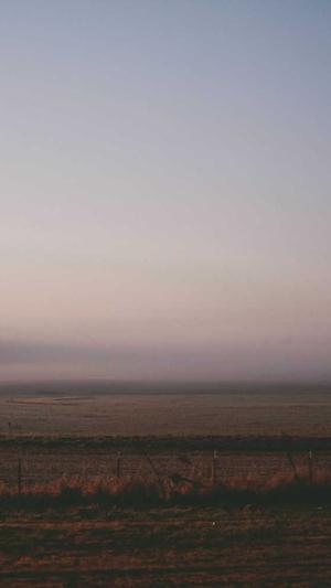 泛目录解析站群最新截图1