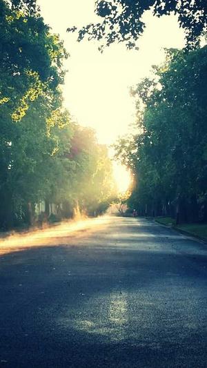 泛目录作用截图2