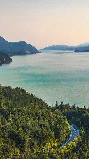 阿里蜘蛛池服务器截图1