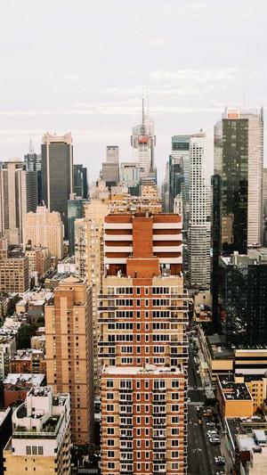 爱情岛站长工具seo综合查询截图4