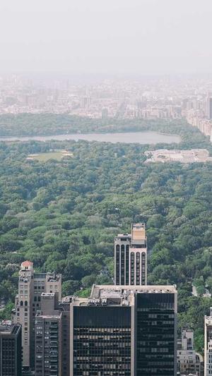 免费SEO工具截图4