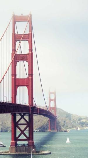 网站开发与建设截图2