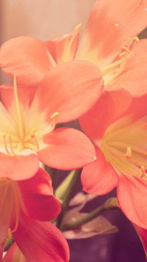 长沙网站制作建设截图2