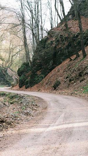 网站seo优化服务截图1