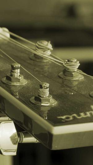 seo网站刷排名工具截图3