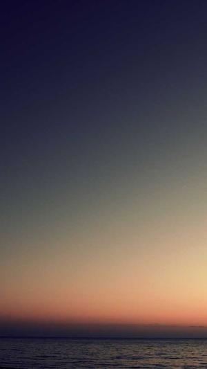 谷歌seo查询工具截图4