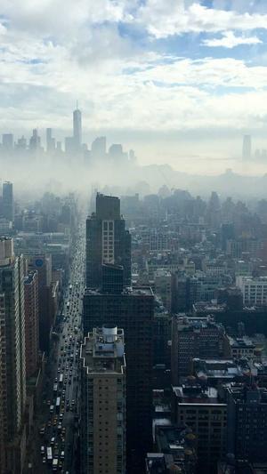 强力蜘蛛池截图4