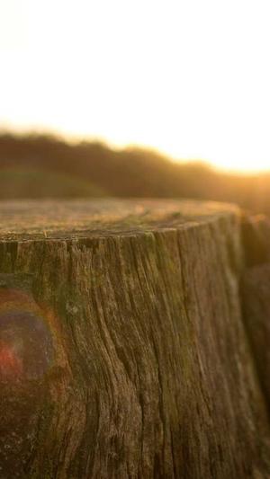 江津网站建设截图2