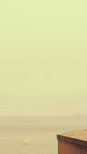 泛目录效果好吗截图4