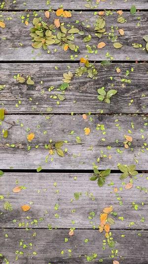 郑州泛目录截图5