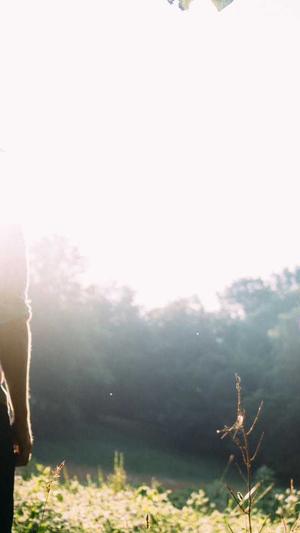 seo优化分析截图3