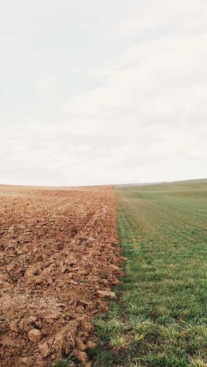 SEO辅助优化工具截图2