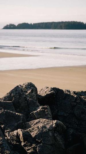 seo工具app优化截图1