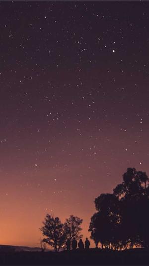 蜘蛛池刷排名需要多久截图5