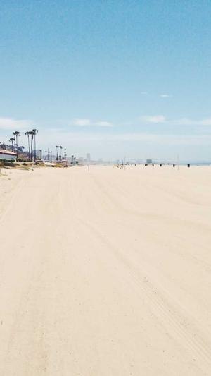 蜘蛛池模板下载安装截图1