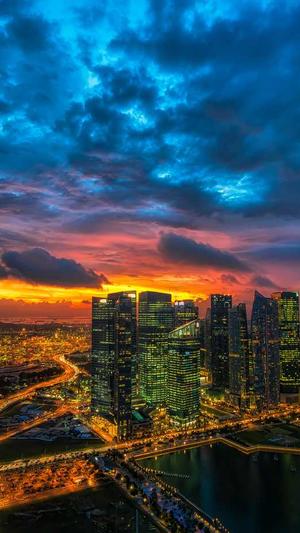 二级域名蜘蛛池截图2