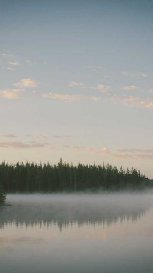 哈尔滨seo优化截图5