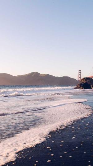 站长工具seo快速查询截图2