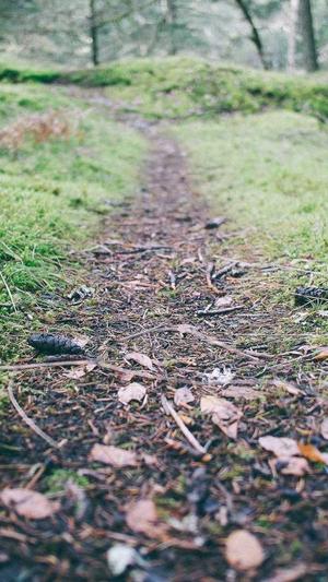 手机 seo排名工具截图4