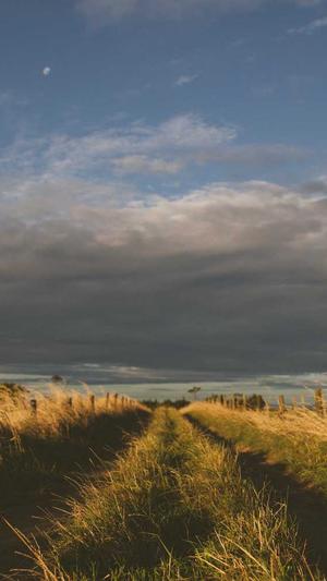 医院网站建设截图4