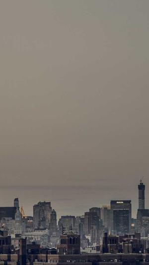 网站建设服务截图1