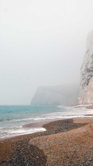 seo常用的工具包截图1