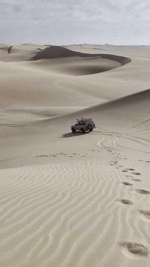 成都网站建设排名截图2