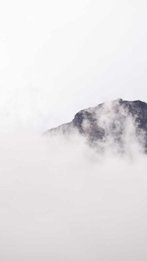 Seo查询工具截图4