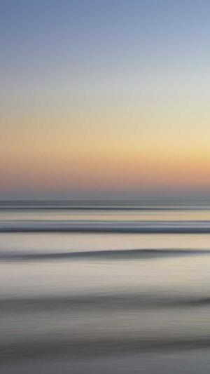 seo网站推广工具截图1