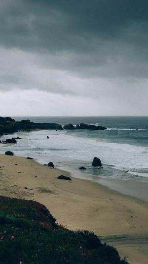 成都网站建设排名截图3