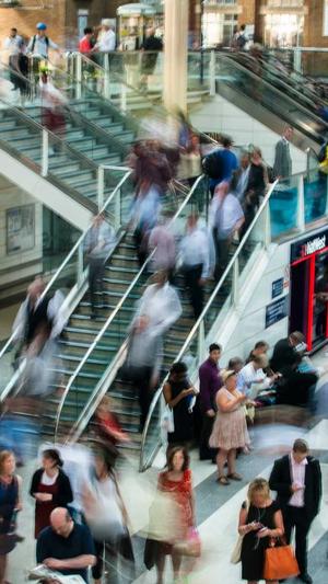 seo工具 网站优化截图1