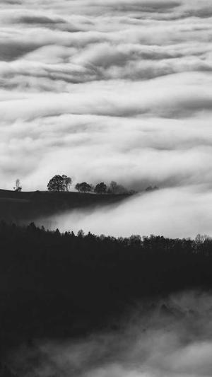 建设部的网站截图2