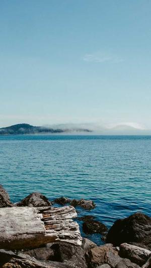 最好的蜘蛛池是哪家截图4