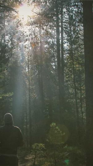 医院网站建设截图5