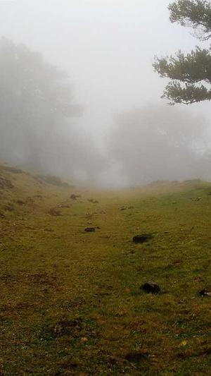 seo优化分析截图2